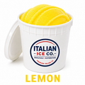 Lemon 2.5 Gallon Bucket
