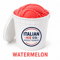 Watermelon 2.5 Gallon Bucket